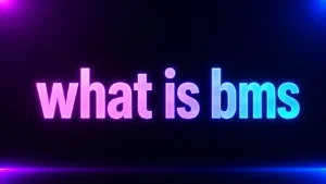 What Is BMS? The Meaning Behind This Popular Text and Social Media Slang